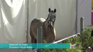 SHOW 3 ans  La Baule  n°4 FIDELINE DU FORT [upl. by Gwynne901]