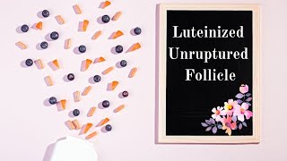 Luteinized Unruptured Follicle [upl. by Dnomder]