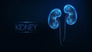 Kidneys [upl. by Enimsay]