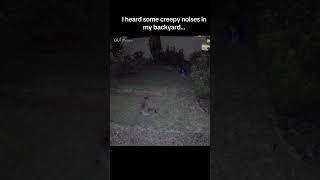 Creepy noises heard in backyard [upl. by Elysia]