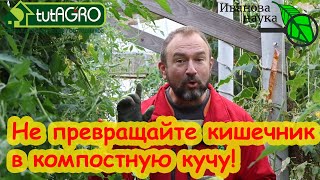 ОЧИЩЕНИЕ ОРГАНИЗМА ДРОЖЖАМИ Пейте дрожжи каждый день Оздоровите кишечник дрожжами буларди [upl. by Atiuqet]