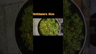 Kothimeera Rice in Telugu Simple coriander Recipe [upl. by Selin440]