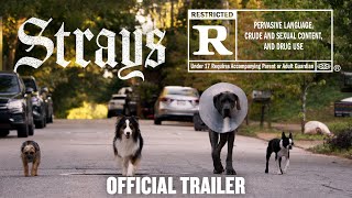 Best Dog Movies of AllTime  RT Essentials [upl. by Dunkin]