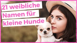 WEIBLICHE HUNDENAMEN für KLEINE Hunde süße coole seltene und ausgefallene Namen mit Bedeutung [upl. by Auof]