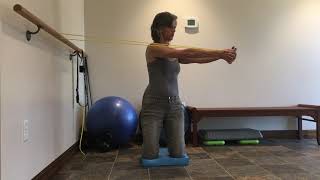 Core Stability Trunk rotation amp Pallof press in tall kneeling [upl. by Idaf318]