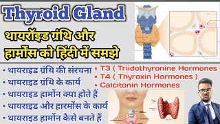 Thyroid Gland in hindi  Thyroid Hormones  T3  T4  Thyroxin Hormones  Thyroid Profile Test [upl. by Llertniuq]