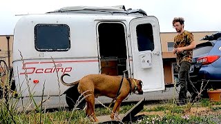 Getting Kicked Out of my Favorite Place to Camp in Humboldt Living in a Scamp Trailer [upl. by Yraek]