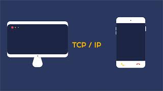 Carpe Digital  Cos’è il TCPIP [upl. by Atnaloj]