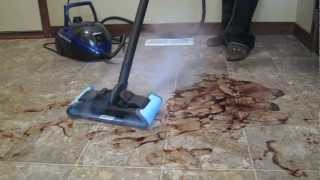 HomeRight Steam Machine Steam Cleaner [upl. by Anastasio]