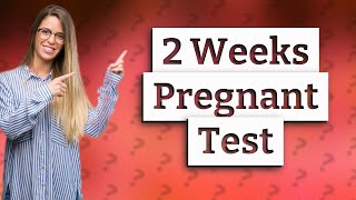 Can you be 2 weeks pregnant and test positive [upl. by Kovar451]