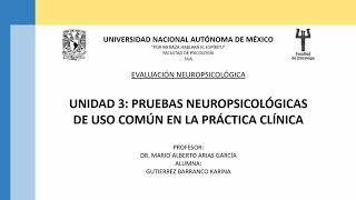 PRUEBAS NEUROPSICOLÓGICAS BANPE BANFE Y COGNISTAT [upl. by Ttoile]