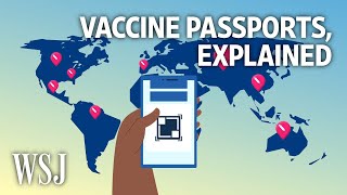 What Would a Vaccine Passport Look Like  WSJ [upl. by Hyde81]