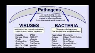 Pathogens [upl. by Bobker489]