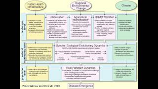 Zoonoses lecture Melissa Leach [upl. by Dyrraj]