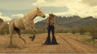 Lainey Wilson  Wildflowers and Wild Horses Official Music Video [upl. by Giana860]