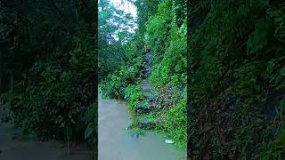 DAAN SA TABING ILOG RIVER SIDE WAY baha deliver tabingilog thekingdoyvlog [upl. by Pass684]