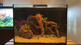 Simple Low Tech NanoTank Aquascape 30L [upl. by Sadiras]