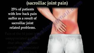 Sacroiliac Joint pain and dysfunction  Everything You Need To Know  Dr Nabil Ebraheim MD [upl. by Haron]