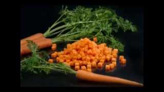 FOODLOGISTIK  carrot cubes 10x10x10 mm on ShreddR [upl. by Nnyltak925]