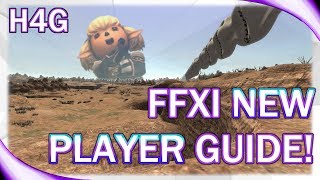 FFXI Guide for New Players [upl. by Nette115]