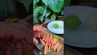 Guava fruits youtube cuttingskils shortvideos [upl. by Nawuq]