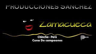 Zamacueca ♫♫♫♫ ☞ Lo mejor ツ】◤Audio Muy Bueno◥ [upl. by Etnoed694]