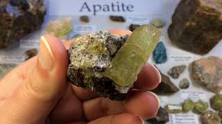 Crystal amp Mineral Education APATITE 💎 [upl. by Mingche]