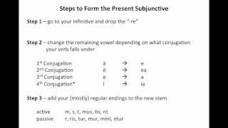 Latin Grammar  The Present Subjunctive [upl. by Aldora]