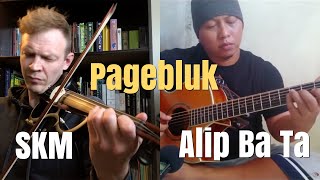 quotPageblukquot Collaboration with violin [upl. by Aihsekram180]