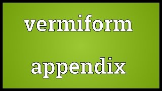 Vermiform appendix Meaning [upl. by Clerissa825]