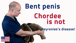 Chordee is not Peyronie’s disease  UroChannel [upl. by Basil]