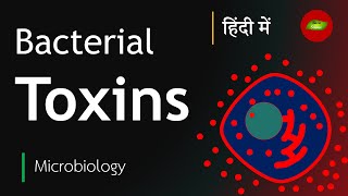 Bacterial Toxin in Hindi  Exotoxin  Endotoxin  Microbiology in Hindi  Basic Science Series [upl. by Anonyw]