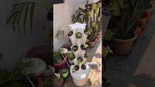 Aeroponics tower [upl. by Champaigne]