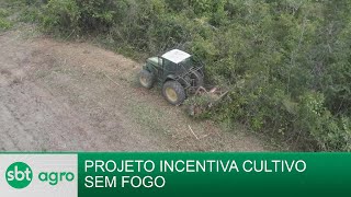 SBT Agro 07102024 Projeto no Pará incentiva cultivo de plantações sem fogo [upl. by Kcerred]