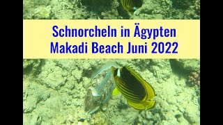 Schnorcheln Ägypten Makadi Bay Hausriff 2022 4K [upl. by Hurst]