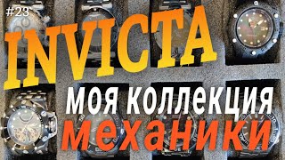 Мои механические часы от INVICTA до CERTINA включая ARAGON От трёхстрелочника до хронографа [upl. by Sinnelg]