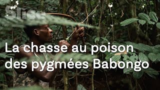 Le DERNIER REFUGE des pygmées Babongo  SLICE [upl. by Matthews]