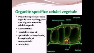 Bacalaureat biologie lectii in format electronic  wwwsuccesbioucozroshop [upl. by Dnalra]