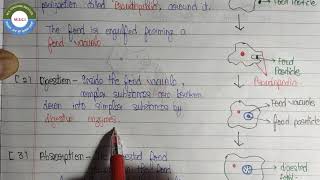 Nutrition in Amoeba Chapter6  Life Process Class10th  cbse class10 [upl. by Heigl790]