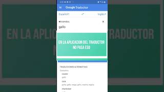 Gallo en el traductor de google 🐓🐓🐓🐓🐓 [upl. by Hajidak]