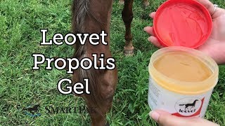 Propolis Gel by Leovet Review [upl. by Hareenum386]