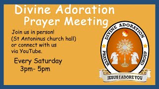 DIVINE ADORATION PRAYER MEETING 3PM  every Saturday [upl. by Aloise]