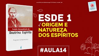 Aula 14  ESDE 1  Origem e Natureza dos Espíritos [upl. by Oiratnom]