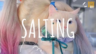 Salting remix cute  DJ Topeng  Dusk Music x Dangling Video Lyrics Tik Tok Song [upl. by Edmead]