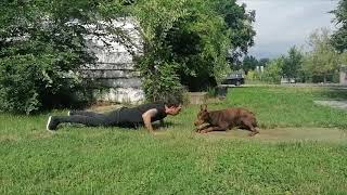 Dog Mimicking Owner in Synchronized Routine Then Follow Words [upl. by Hailat]