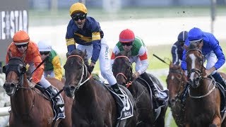 2019 ATC The Doncaster Mile [upl. by Nosilla222]