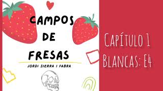 campos de fresas 13 [upl. by Ahseirej]