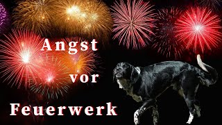 Hund hat Angst vor Feuerwerk  10 Tipps für Silvester mit Hund [upl. by Schonfeld]