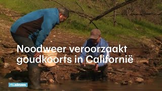 Noodweer veroorzaakt goudkoorts in Californië  RTL NIEUWS [upl. by Loni]