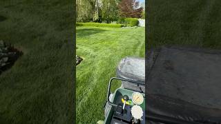 ✔️✔️✔️ lawncare lawns backyard [upl. by Odnaloy]